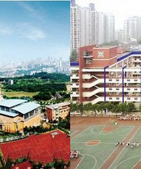 СѡԿڵ̨Сѧ24һСѧ