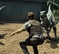 ٪޼硱ֹĿӢĶգ޶һȫ