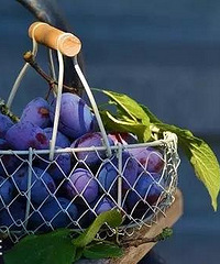 ͯܲܺȹ֭Ӧôȣѧô˵