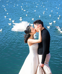 ̫ϲӰ˾ͼЧԼ£Ǿֺÿ