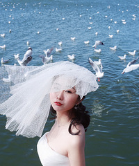 ̫ϲӰ˾ͼЧԼ£Ǿֺÿ