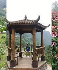 ĩСʱ򿨹ŽɽɽϺ죬ɽĻ߽