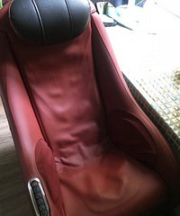 ֲݰβݵЩɭֵ򣬳Сûë