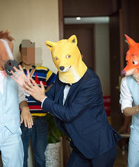 �����������������INS���տ�Ͷ��ƶ���ͷ�׺�����