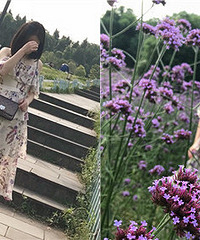 Ҷߵȹú⣬һ·ַľȻǸе