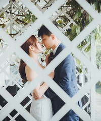 ְΪŮڻֳܻӭҶ׷̨