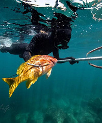 Ծɫ һߣ һ뾫... ...