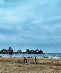 ���Ĳ�������������2018���Ĳ�֮��+���μ�