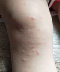 ޶ͻȻϥǺС񣬻Сˮ