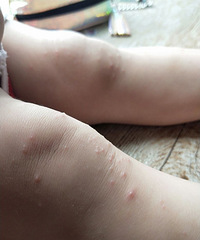 ޶ͻȻϥǺС񣬻Сˮ