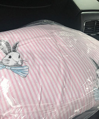 �������ɹ���������ȡ�Ŀյ�������Ԥ��֮��ĸ��ÿ�