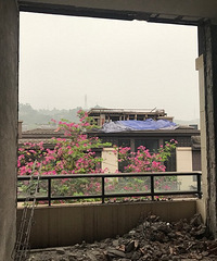 һ��ǿ��֢+ѡ���ۺ�֢���˵�����װ��·