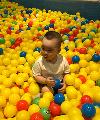 ȵС۵Բ԰֮ãȥȫͣˣúƤ