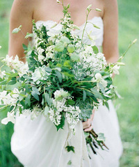 ��Щ�����������ױ���