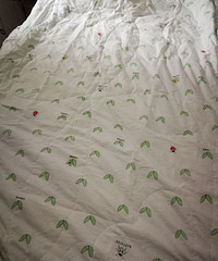 ԹĿյμӻ˵һϲŶ