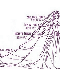 ����ͷɴ����Ļ�ѡ�� | �ɻ�GET