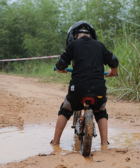 ˷ʢߵԽҰɭֹ԰ϳһ̽