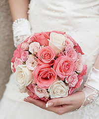 ���ǲ��ɲ�֪�ġ���ʽ�С�������