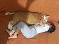 养橘猫一年后竟然…