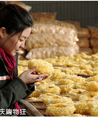 �����ʪ�ز����٣�����ҵĸɻ��꿪������