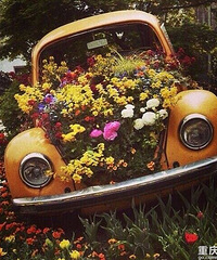 ��������õĻ���������ǻ��������ˡ���