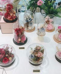 ��������ҵ�һ��ѧ�廨����Ȼ�����Ǹ��������