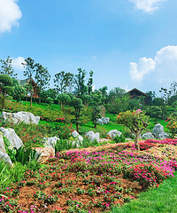 С/̫ƽľ̫ˣһĺ԰+ļ