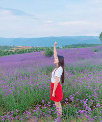 С/̫ƽľ̫ˣһĺ԰+ļ