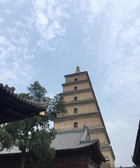西安,华山行