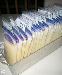 没想到居然母乳储存还有这么多讲究?冷藏和冷冻的实效都不一样
