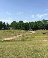 ÿ궼Ҫ޶ȥ¶ӪƼϲ¶Ӫأ羰