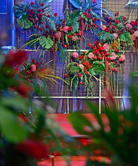 һ��ֻ������ʦ�������Ļ��񣬲���ǰ��Ĳ���Ȼ��ô��