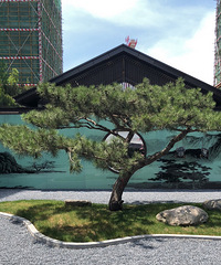 ٰ԰ô¥̵Ժֵռ󲻴