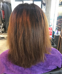 ֮ǰһͷ����ë����������̴ľ��ɫ��˳���üëҲȾ�˸���ɫ