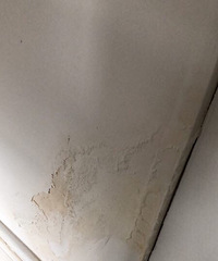 刚装修好的房子墙面就这样正常吗?