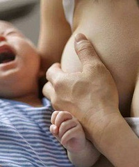 Ҫּڣ޶ĸ£޶̣ȲӦ