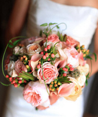 ������������С֪ʶ����һ��Ҫ֪������