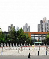 ˵ǹСѧĺӳɼãûֱ