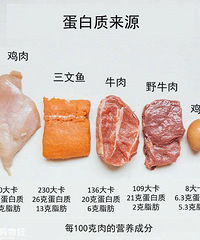 减脂期间这样吃更健康