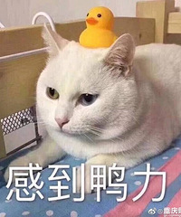 88