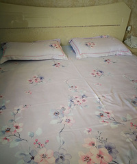 �����ı�˿��ϯ������������ģ���������