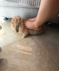 Ԥ��۸�5000��8000�ڣ��кõĻ�ɴ���Ƽ��𣿱���·����