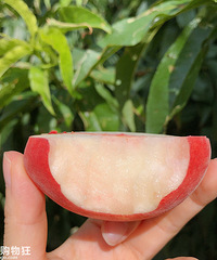 Ůҡ߽ɽϵ԰˽⡰ŮԵĴ~~~