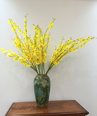 ��ϵ����ı��˻�ƿ�����⣬20�����ʵ�ںܾ�ϲ