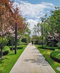 װСȫַװޣ260ƽִСƴ