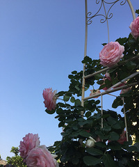 ʱ������������Ϊ�飡����56���¼�������20��������