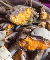 ����������Ǯһ�������κ���բз���ð���