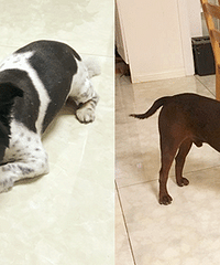 Ѱ輯ϡѰҺڰСȮȮѰ