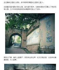 求解 发现了一个诡异的事情