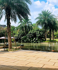 �����巴�̽������6���ӵ���죬ͬ����������������仹����